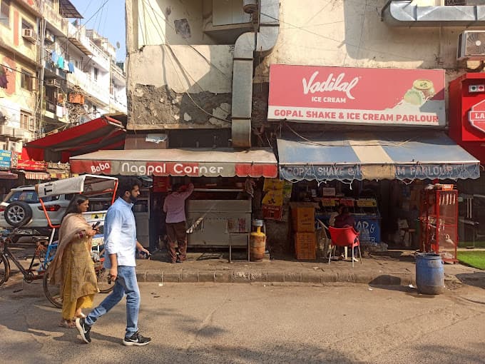 Baba Nagpal Corner: Iconic Street Food in Amar Colony, Lajpat Nagar